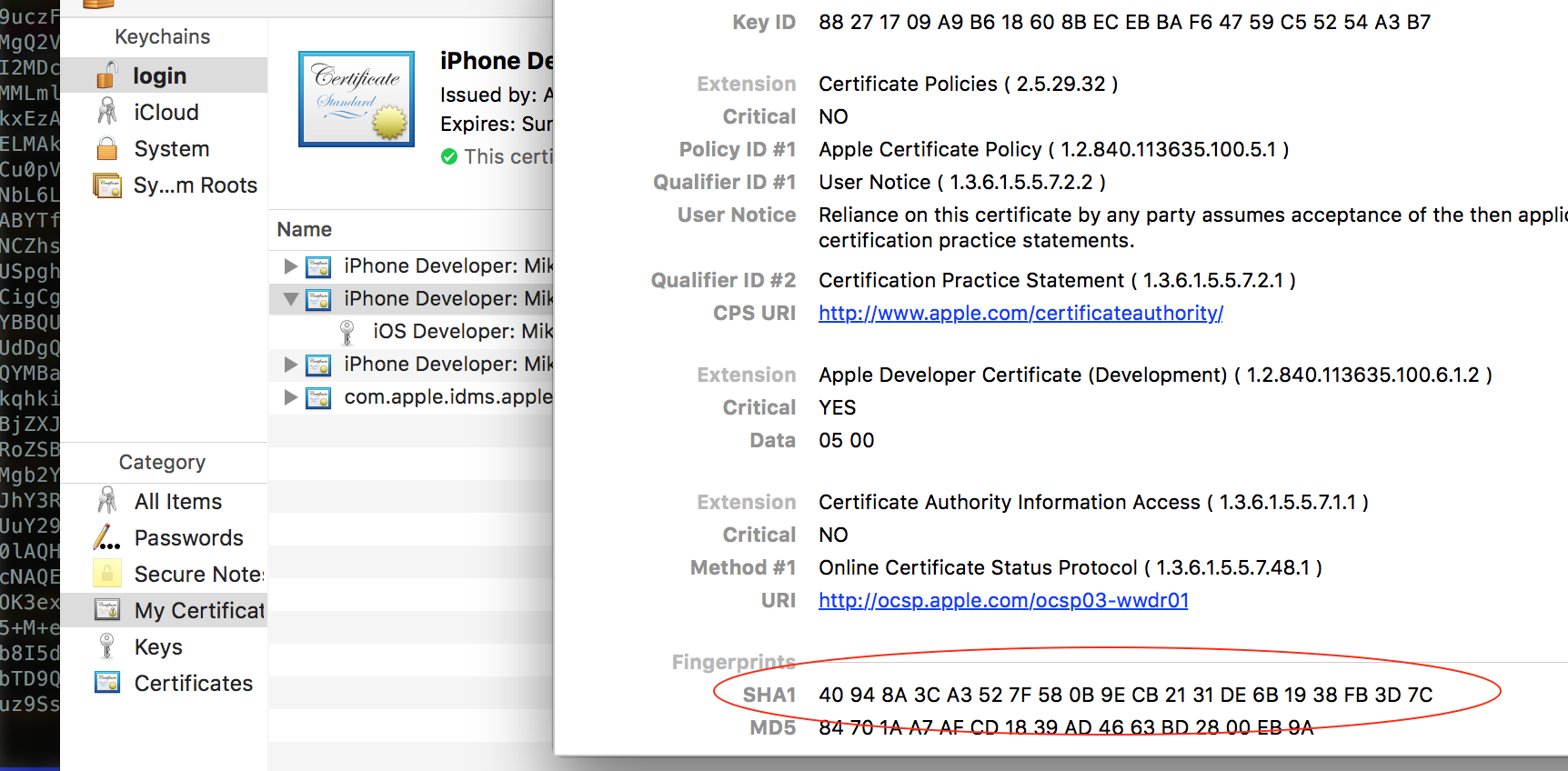 Apple, боль и сертификаты - 2