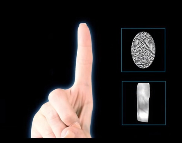 Куда движется современная биометрия - 5