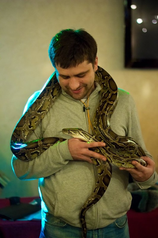 Интервью с Андреем Светловым о языке Python и не только - 2