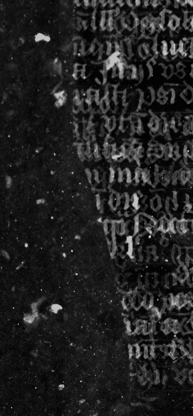 Рентгеновские лучи помогли найти спрятанную средневековую библиотеку - 10
