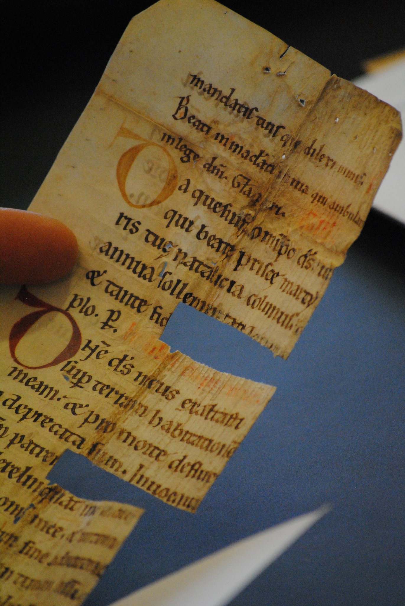Рентгеновские лучи помогли найти спрятанную средневековую библиотеку - 2