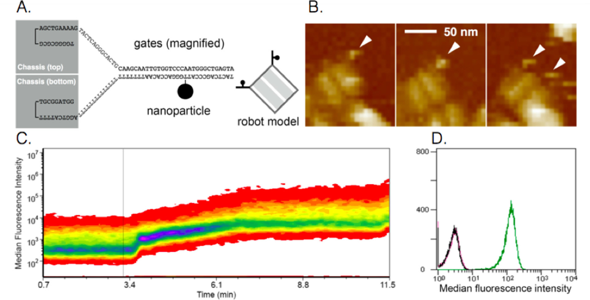 «Умные» наноботы впрыскивают вещества, реагируя на состояние мозга - 4