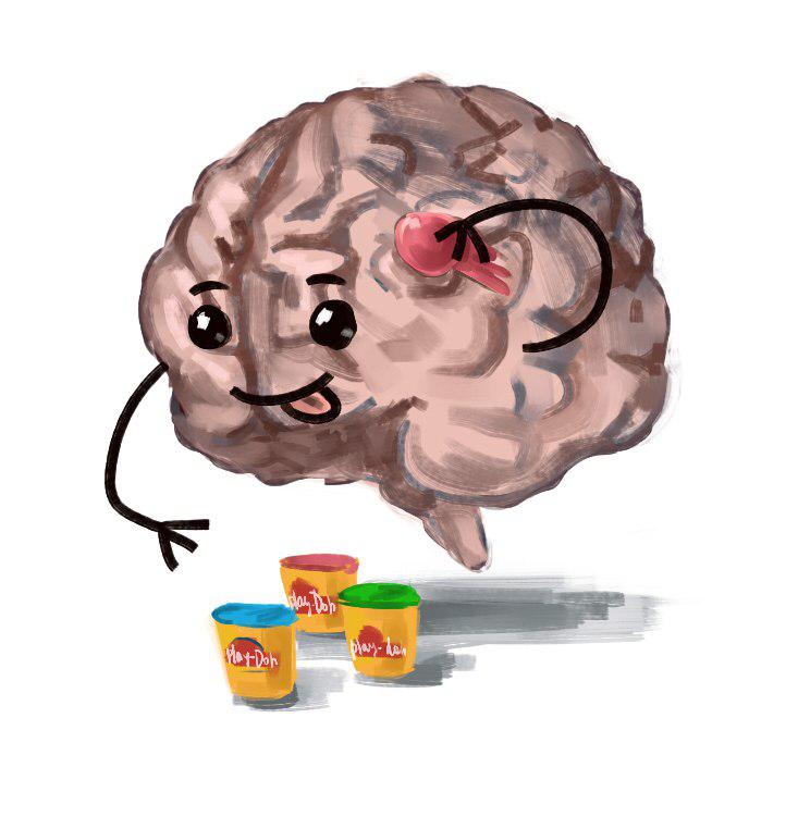 Нейропластичность: перестраиваем мозг - 1
