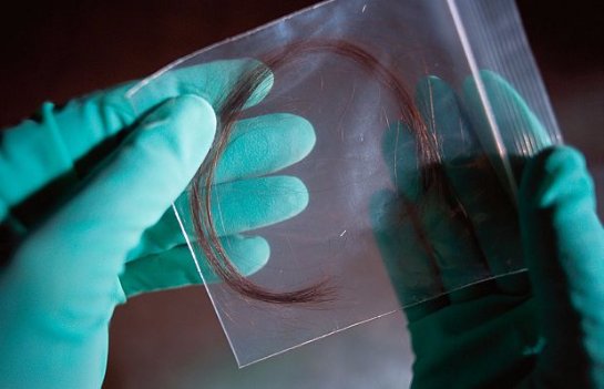 Американские биологи заменят анализ ДНК исследованием белков волос