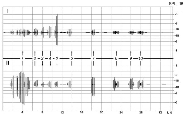 Анализ акустических сигналов дельфинов-афалин показал возможное наличие у них развитой разговорной речи - 3