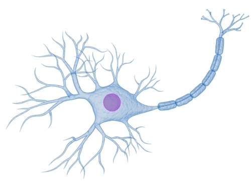 Симулятор нервной системы. Часть 3. Ассоциативный нейроэлемент - 5
