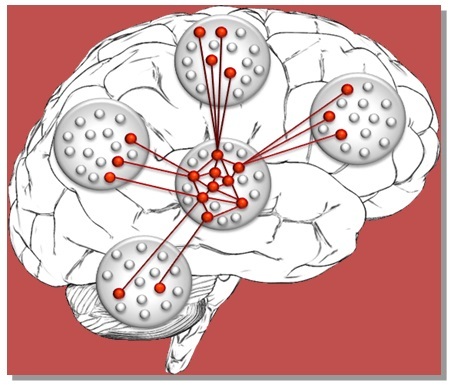 Память, консолидация памяти и бабушкины нейроны - 10
