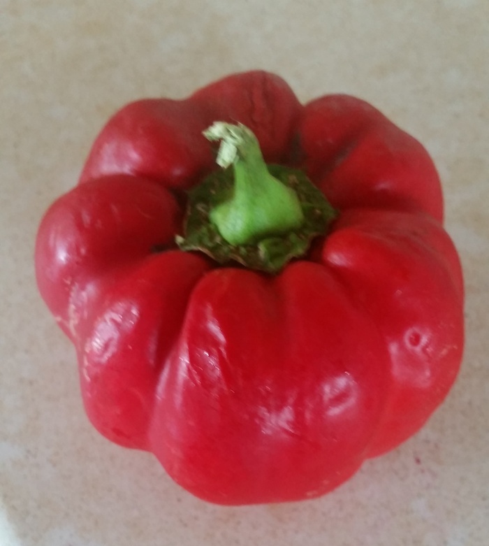 Портативный спектрометр SCiO - 29 Портативный спектрометр SCiO - 29