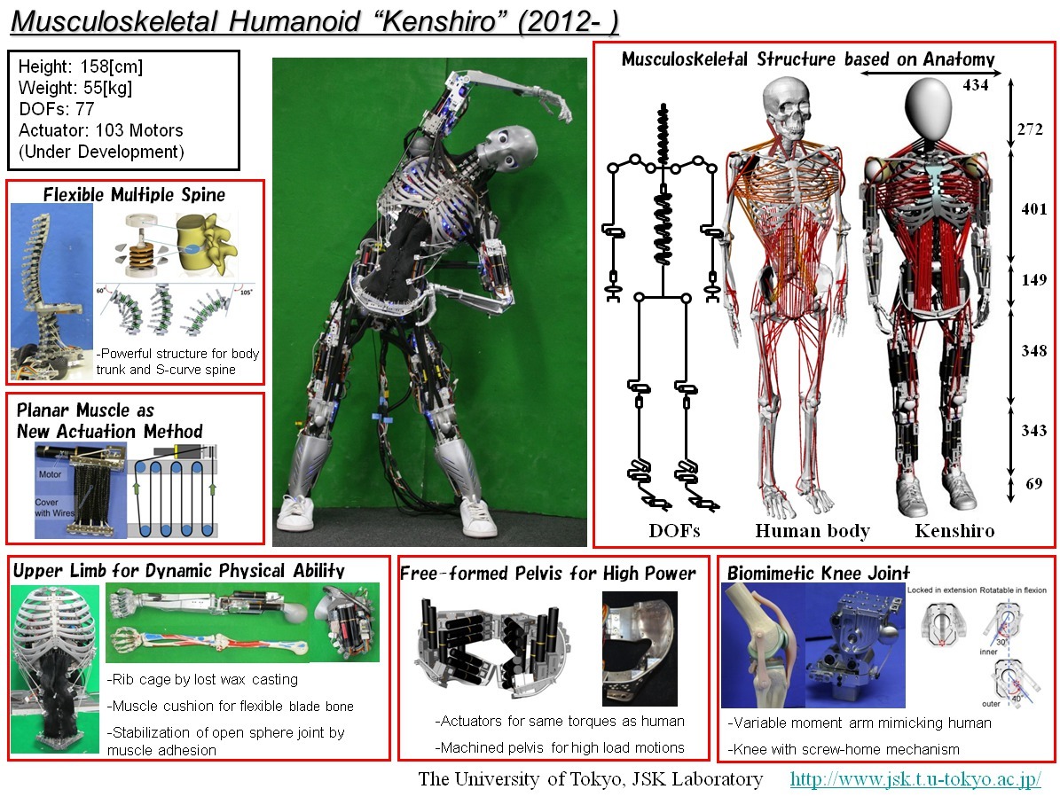Японский робот Kengoro «потеет» при физической нагрузке - 5