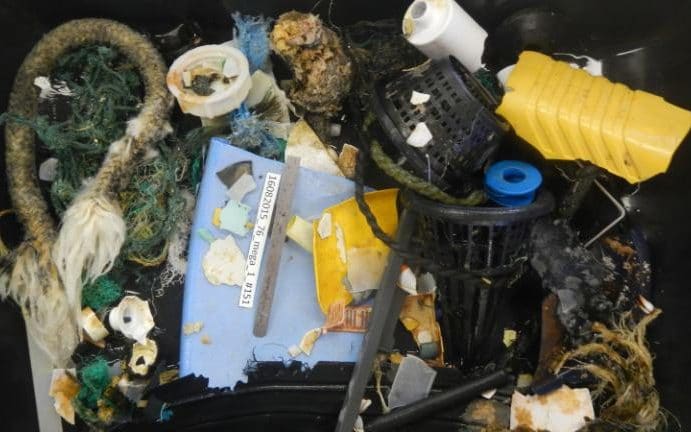 «Великое Тихоокеанское мусорное пятно» – это миф; наблюдения не обнаружили никакого «мусорного острова» - 4