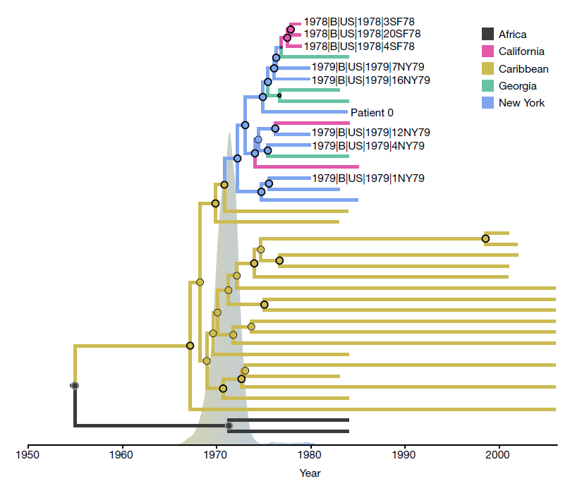 Нулевой пациент ВИЧ, вероятно, прилетел в Нью-Йорк с Гаити в 1971 году - 2
