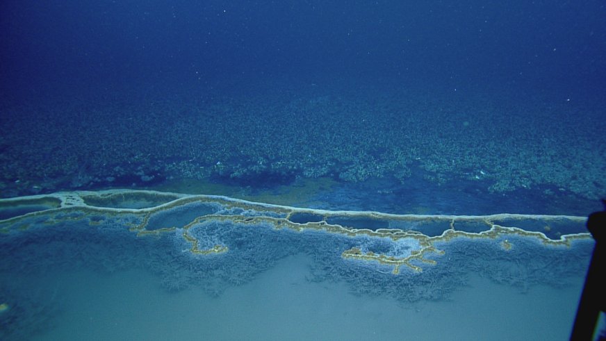 На дне Мексиканского залива нашли ядовитое озеро - 1