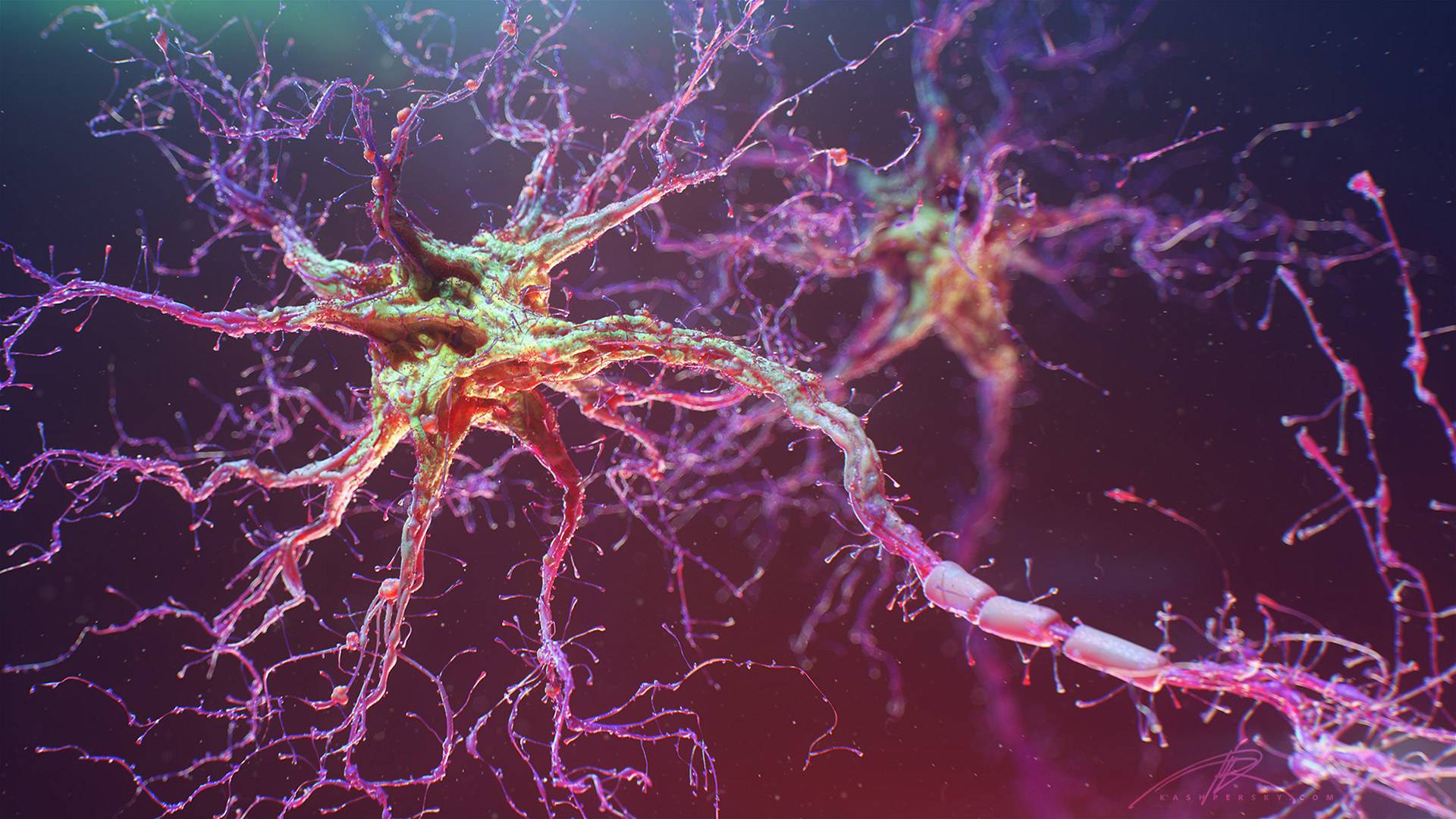 Люминесценция помогает ученым изучать работу отдельных нейронов мозга животных - 1