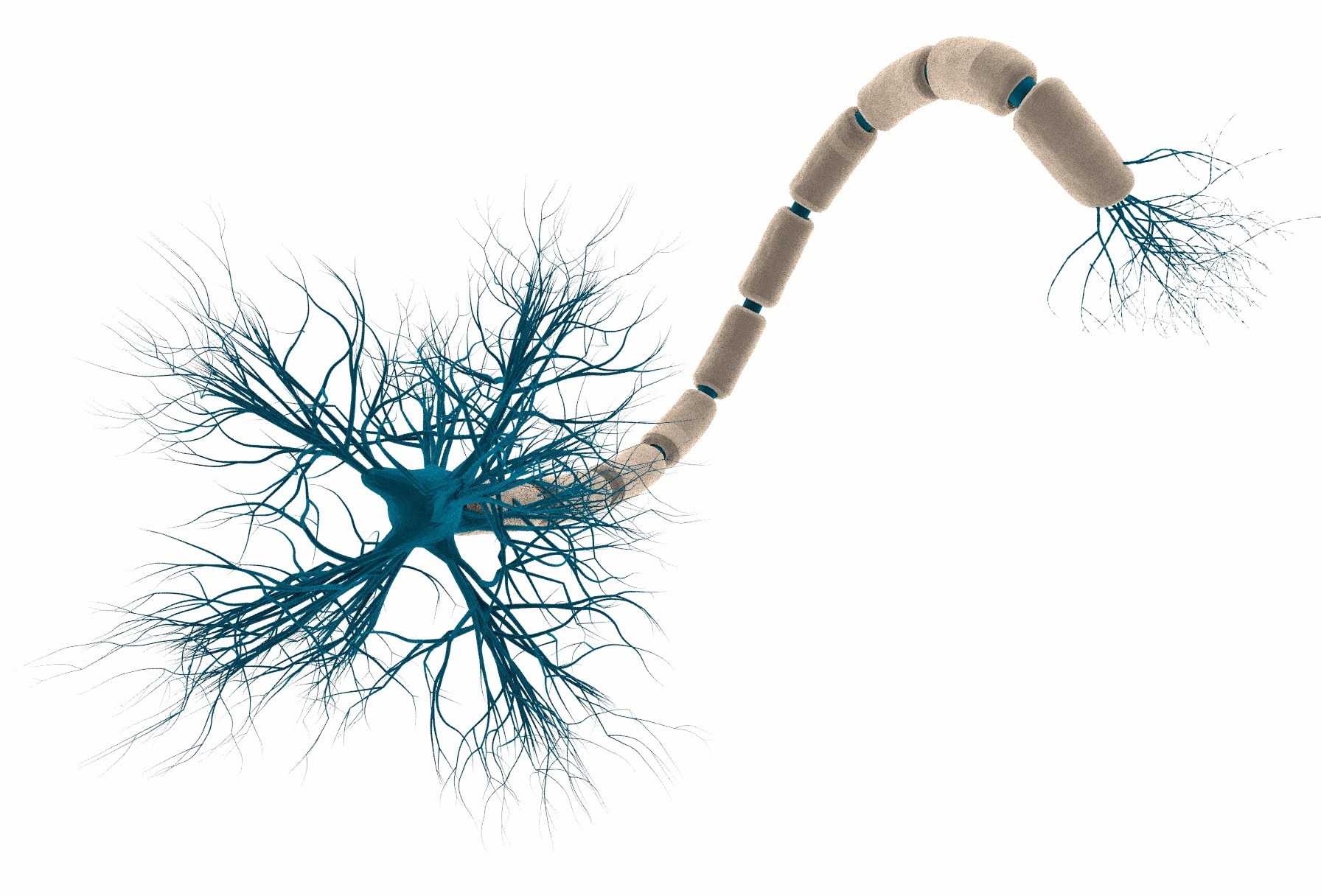 Исследователи из MIT научили нейронные сети аргументировать свои решения - 2