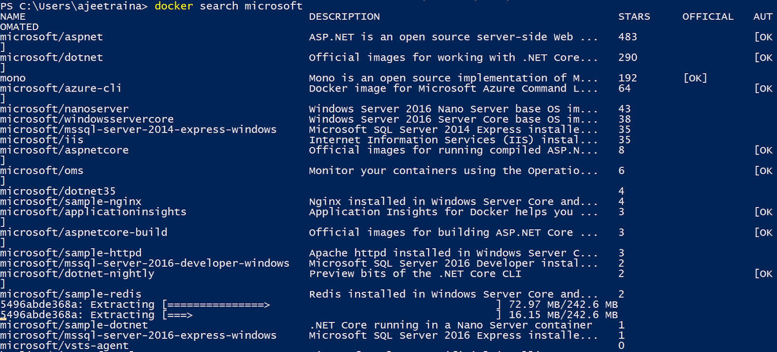 Сравнительный анализ Docker Engine на платформах Windows Server и Linux - 7
