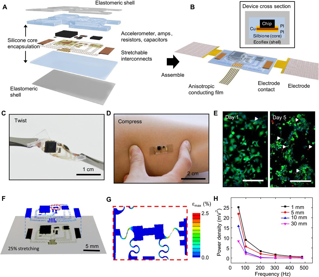 Датчик-«пластырь» может следить за работой сердца и распознавать речь - 2 image