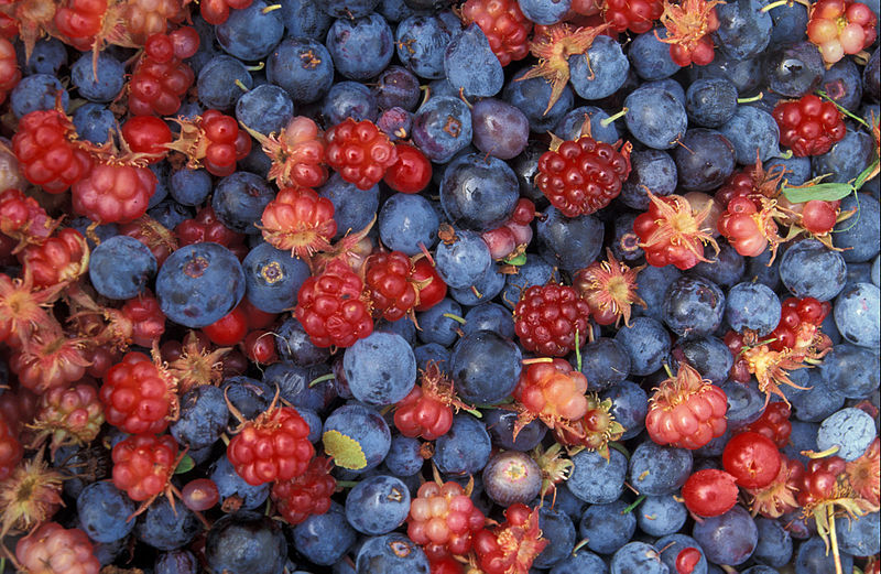 WildBerries Бакальчук Татьяны