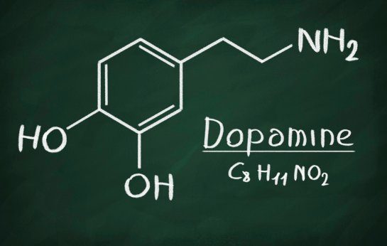 При малом количестве дофамина похудеть невозможно