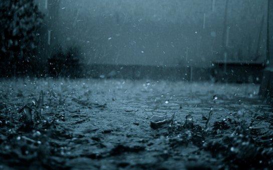 Ученые узнали, что для формирования дождя нужны бактерии