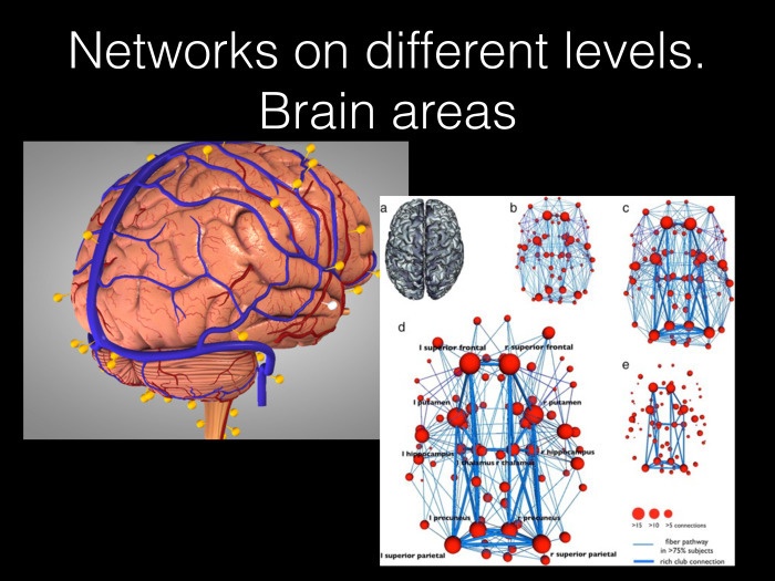 Исследование связности в мозге на основе электрофизиологических данных. Лекция в Яндексе - 4