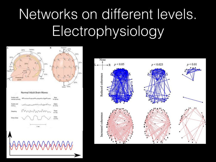 Исследование связности в мозге на основе электрофизиологических данных. Лекция в Яндексе - 5