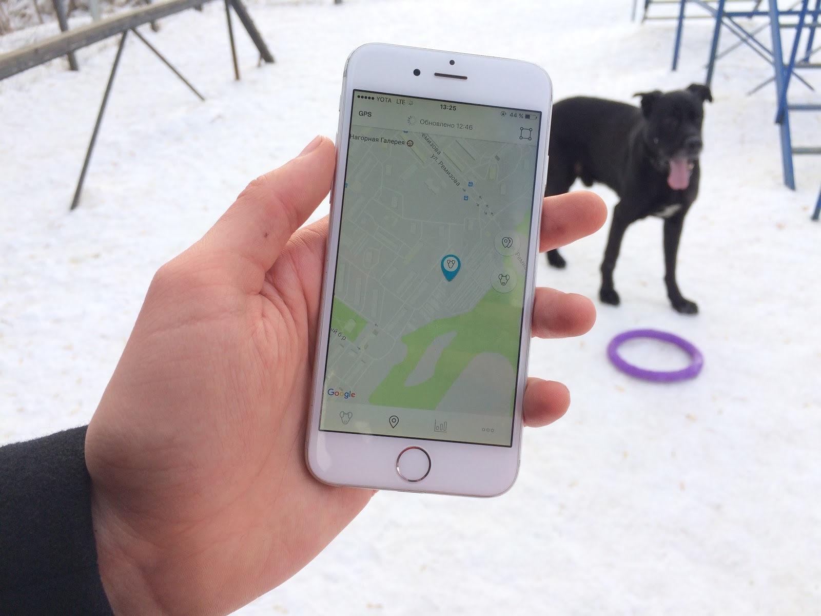 Тестируем на животных: как работает GPS-трекер для собак Mishiko в Москве? - 8