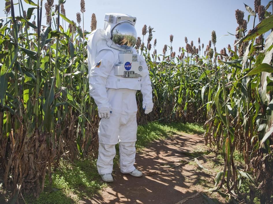 Овощи для астронавтов: как растят свежую зелень в лабораториях НАСА - 4
