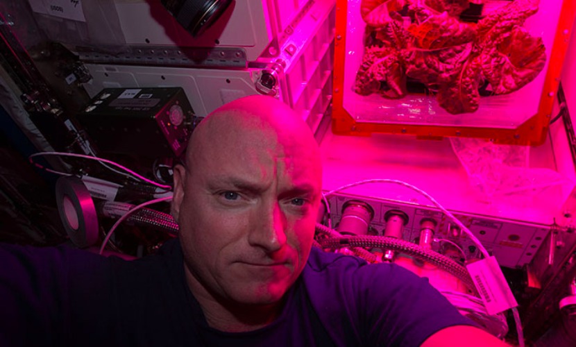Овощи для астронавтов: как растят свежую зелень в лабораториях НАСА - 1