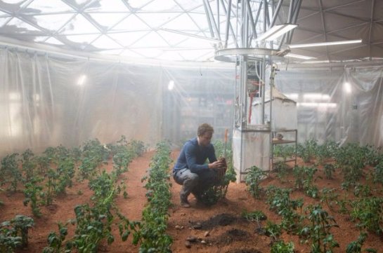 Ученые искусственно создали марсианскую атмосферу и вырастили в ее условиях картофель
