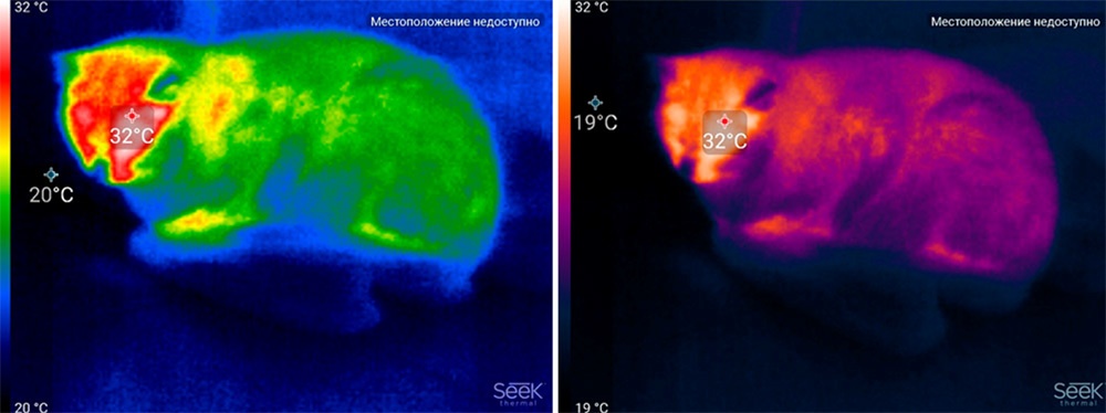 Обзор тепловизора Seek Thermal и его применение - 47