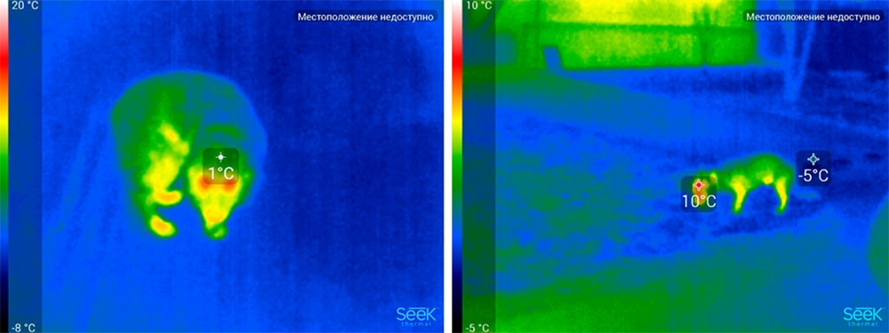 Обзор тепловизора Seek Thermal и его применение - 48