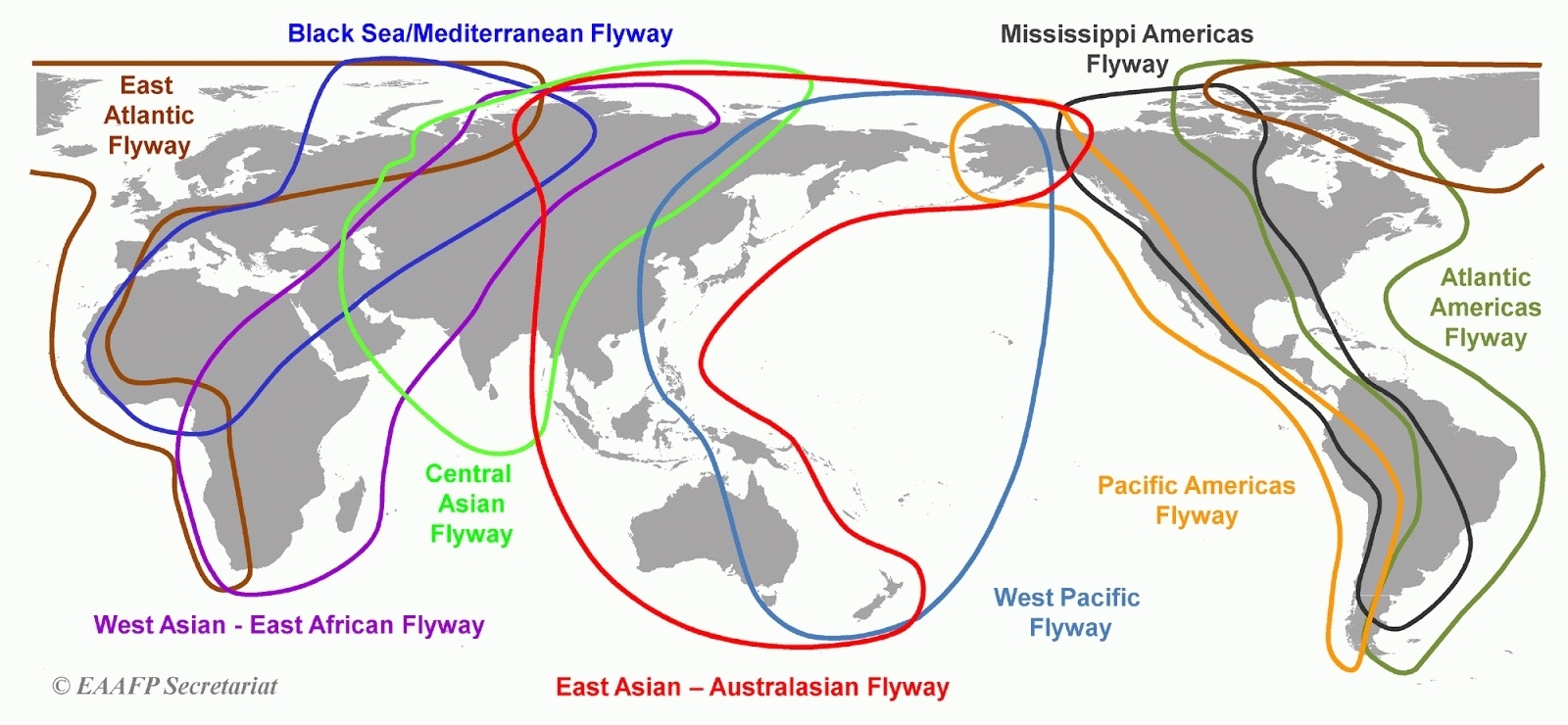 Common Bird Census, или биоинформатика в орнитологии. Проект в хорошие руки - 2