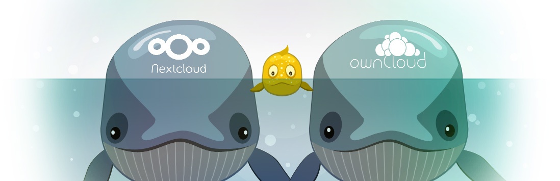 Как мы интегрировались с ownCloud и Nextcloud: подводные камни и их преодоление - 1