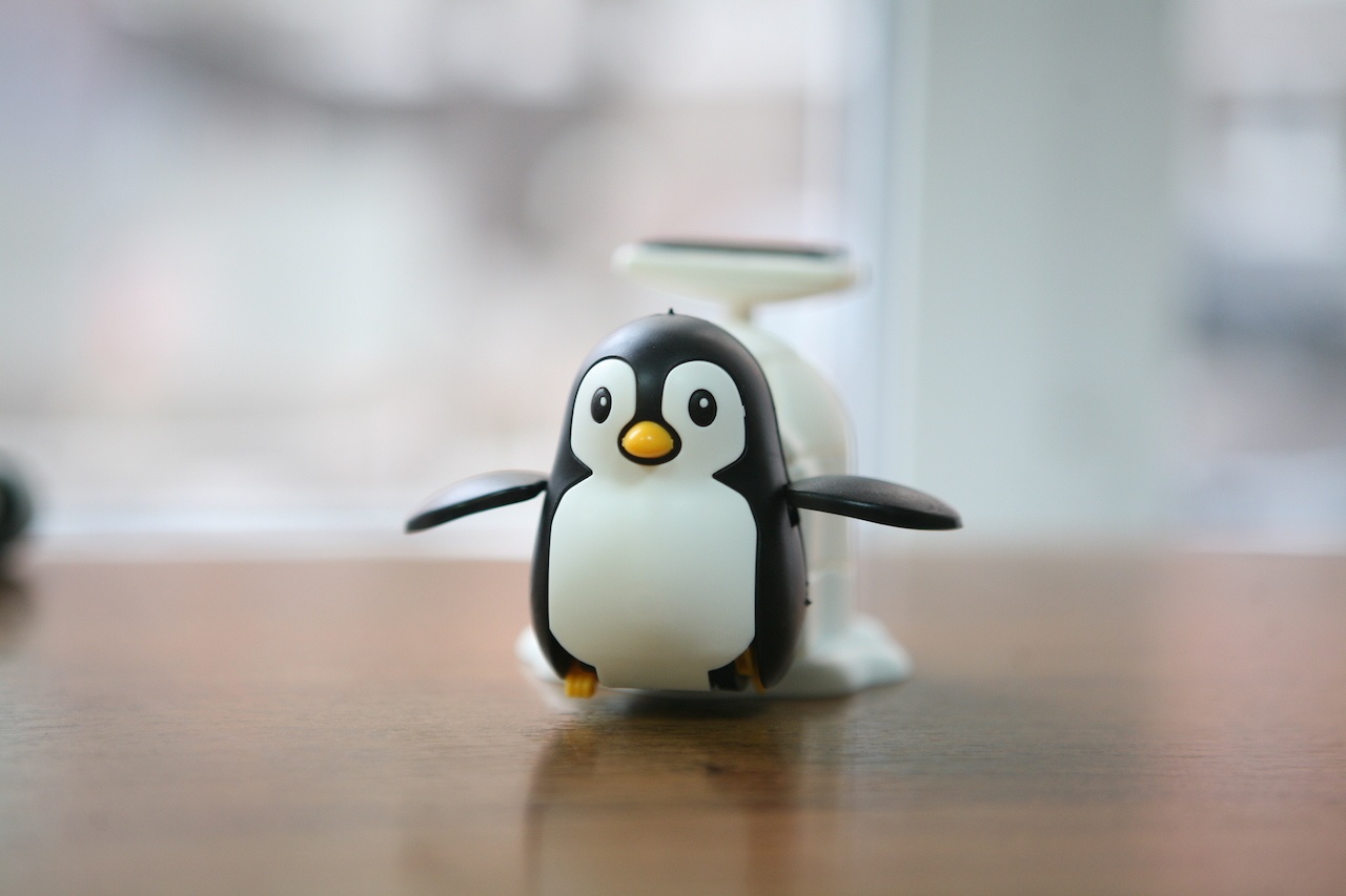 Пингвин на солнечных батареях: забавный конструктор «один в одном» - 1