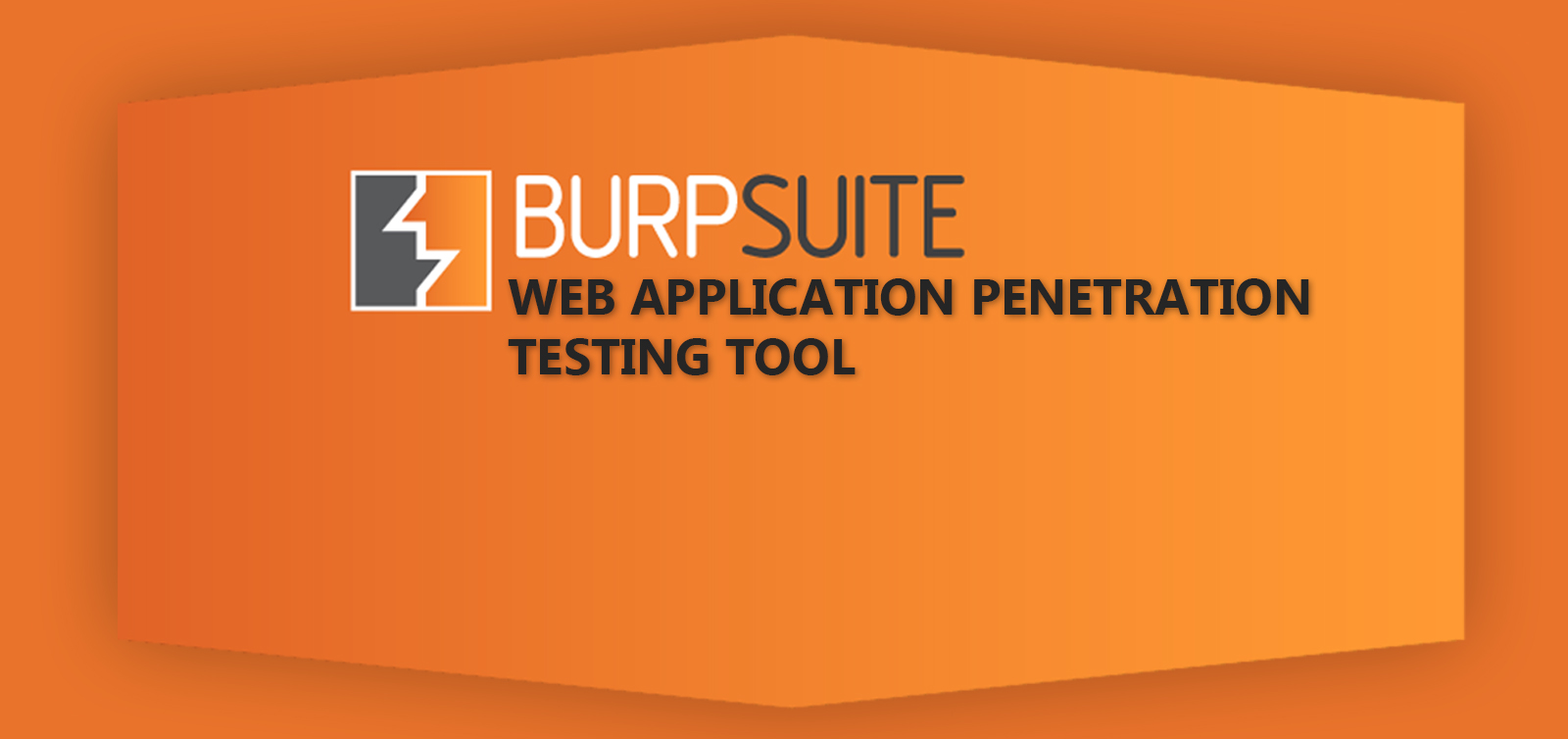Burp Suite: швейцарский армейский нож для тестирования веб-приложений - 1