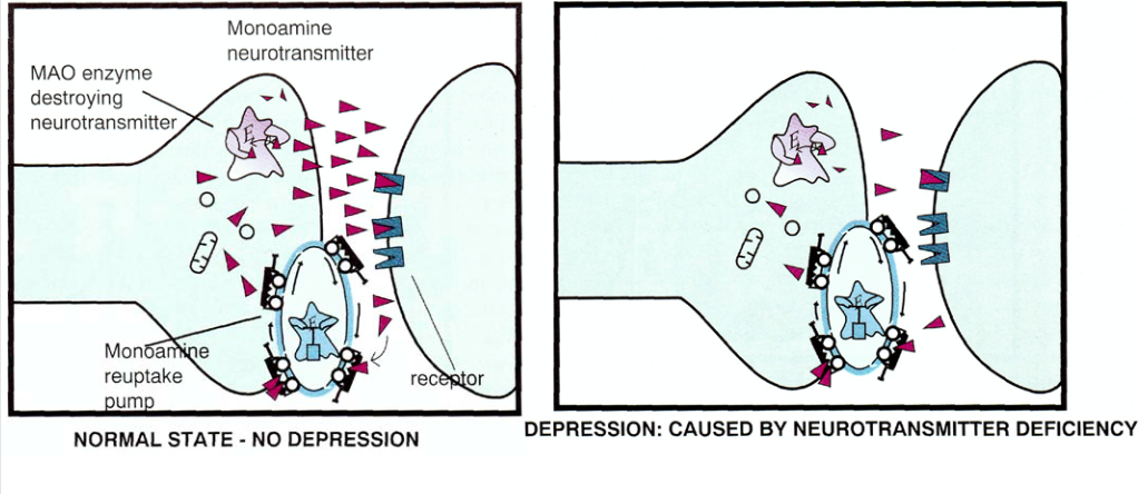 Как лечат сумасшедших. 1.2 — Фармакотерапия: депрессия и антидепрессанты - 3