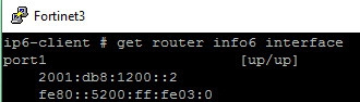 Начинаем работать с IPv6 в операционной системе FortiOS - 3
