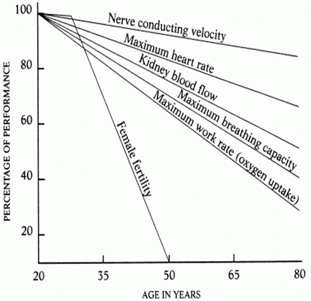 Старение и менопауза — две программы популяционного контроля - 1