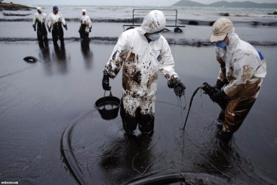 Сибирские ученые создали бактерии, которые способны уничтожать нефть