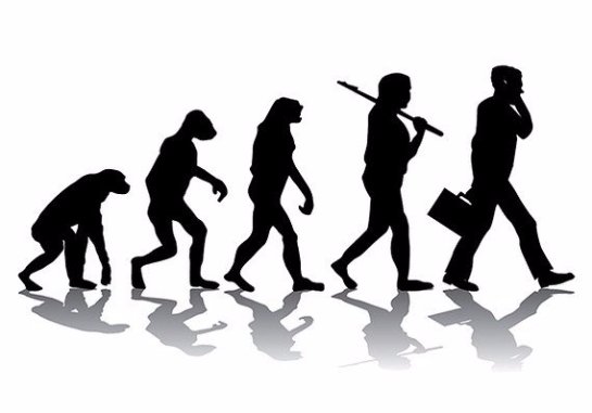 Ученые опровергли теорию эволюции