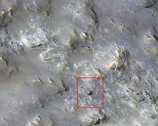 Уфологи заявили о находке на Марсе живого существа