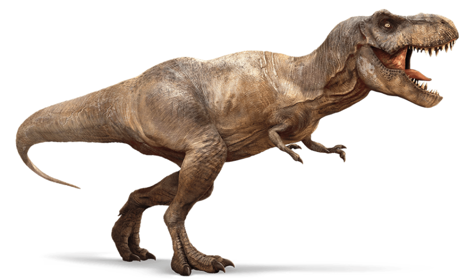 Палеонтологи: человек мог бы убежать от тираннозавра, если бы постарался - 2