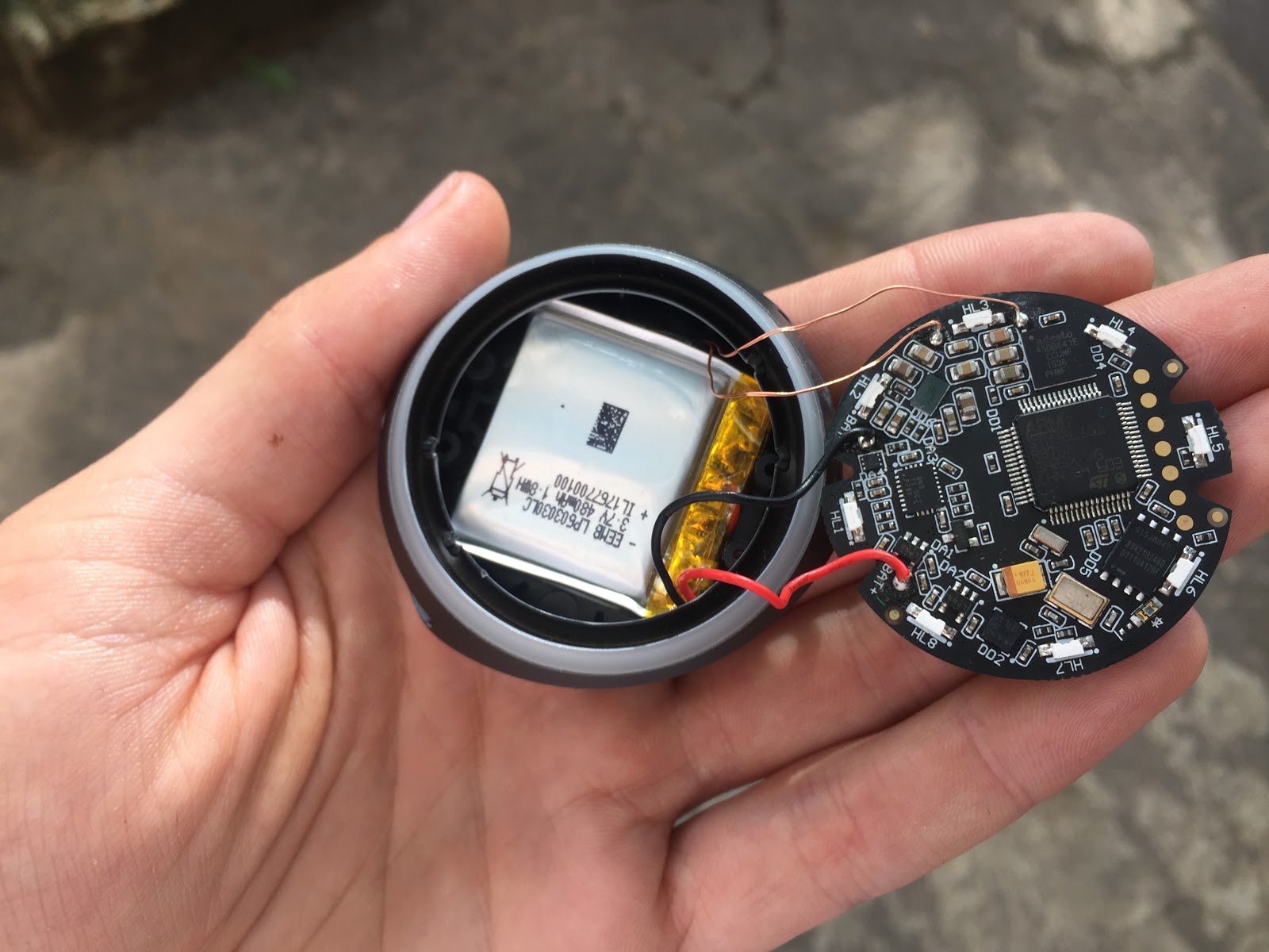 Кастомная GPS-антенна, SIM-чип, процессор и 8Мб памяти: из чего сделан умный собачий ошейник Mishiko - 5