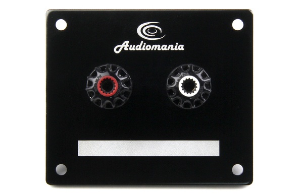 Конструктор акустической системы Audiocore Kit: транскрипт подкаста «Звук» - 2