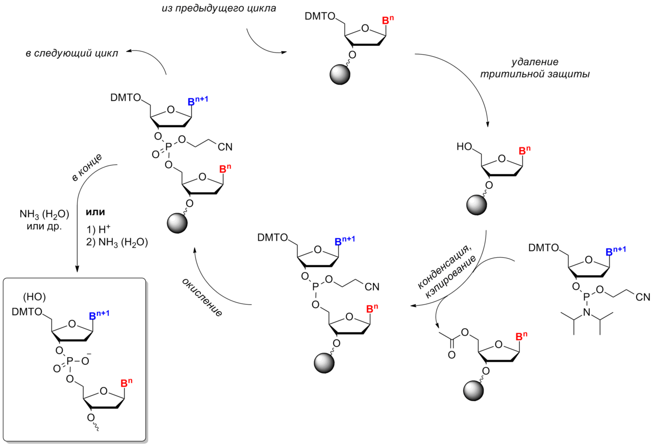 Реверс-инжиниринг ДНК-синтезатора - 2