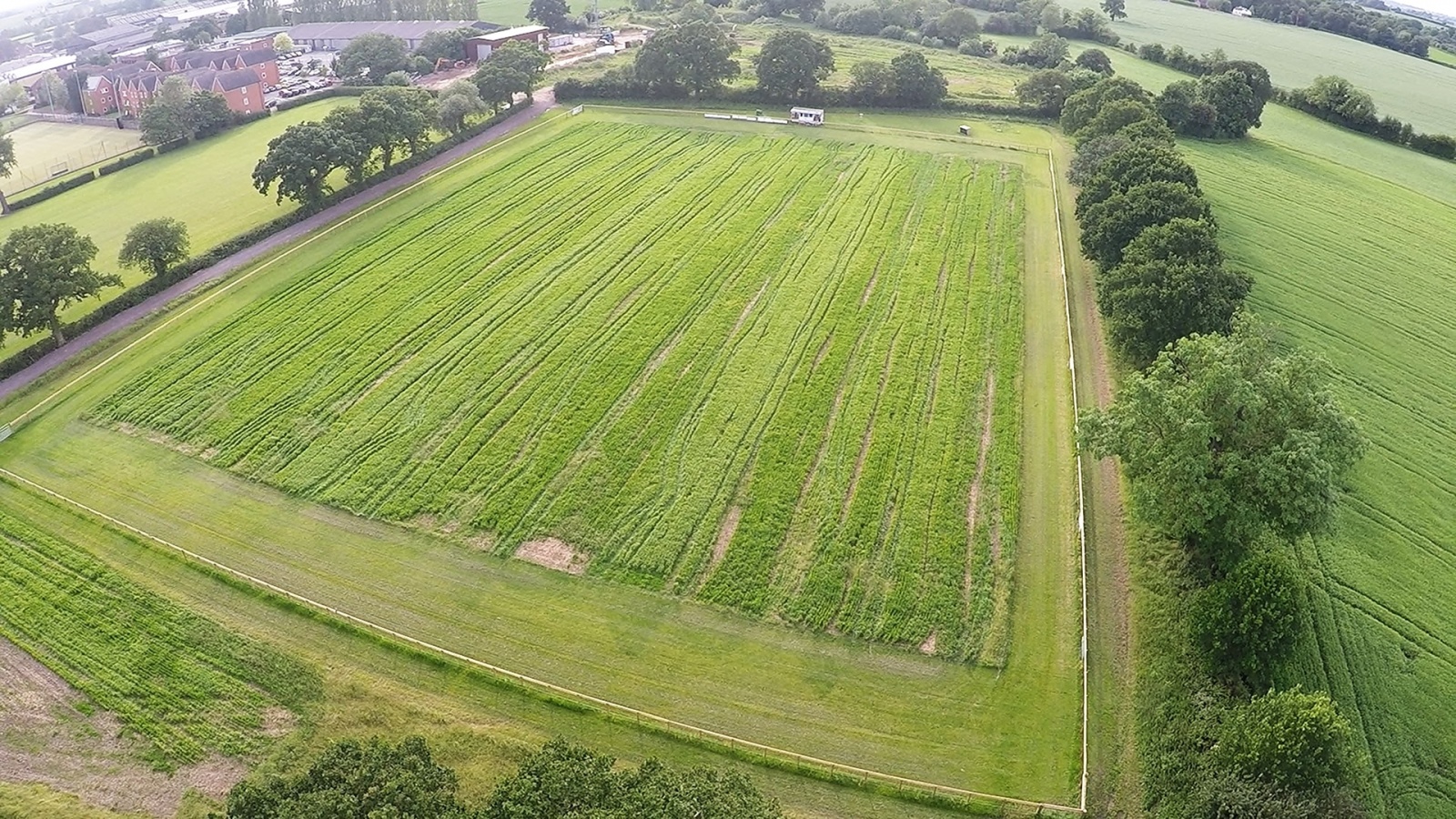 Агрономы-робототехники из Великобритании вырастили и собрали весь урожай при помощи автоматики - 2