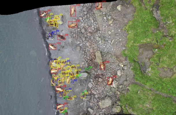 Kaggle: как наши сеточки считали морских львов на Алеутских островах - 20 Kaggle: как наши сеточки считали морских львов на Алеутских островах - 20