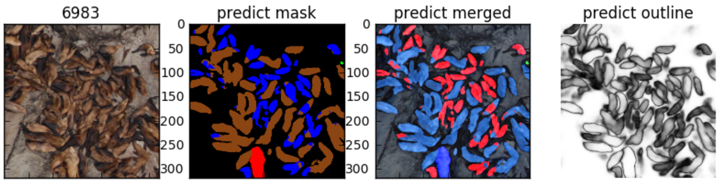 Kaggle: как наши сеточки считали морских львов на Алеутских островах - 22 Kaggle: как наши сеточки считали морских львов на Алеутских островах - 22
