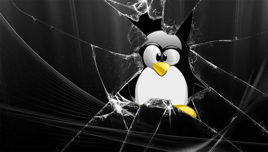 Kali Linux: политика безопасности, защита компьютеров и сетевых служб - 1
