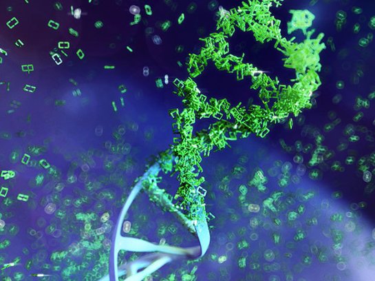 Ученые научились быстро внедрять ДНК в клетку